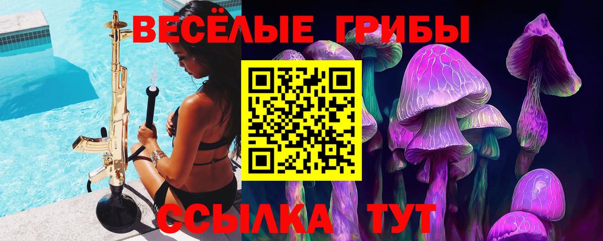 Хасавюрт  цена наркотик  Вход с VPN  Галлюциногенные грибы MAGIC MUSHROOMS 