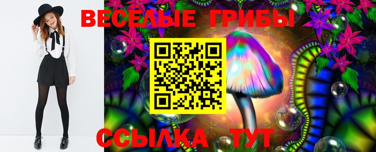 Псилоцибиновые грибы Magic Shrooms Хасавюрт